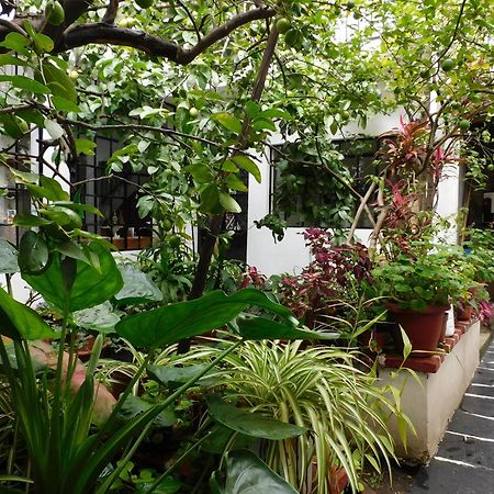 Hotel Maria Bonita By Rotamundos Taxco de Alarcon Exterior foto